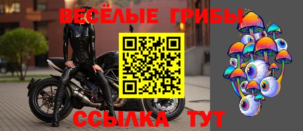 Псилоцибиновые грибы MAGIC MUSHROOMS  Вход с VPN  Кудымкар  Галлюциногенные грибы Psilocybe 
